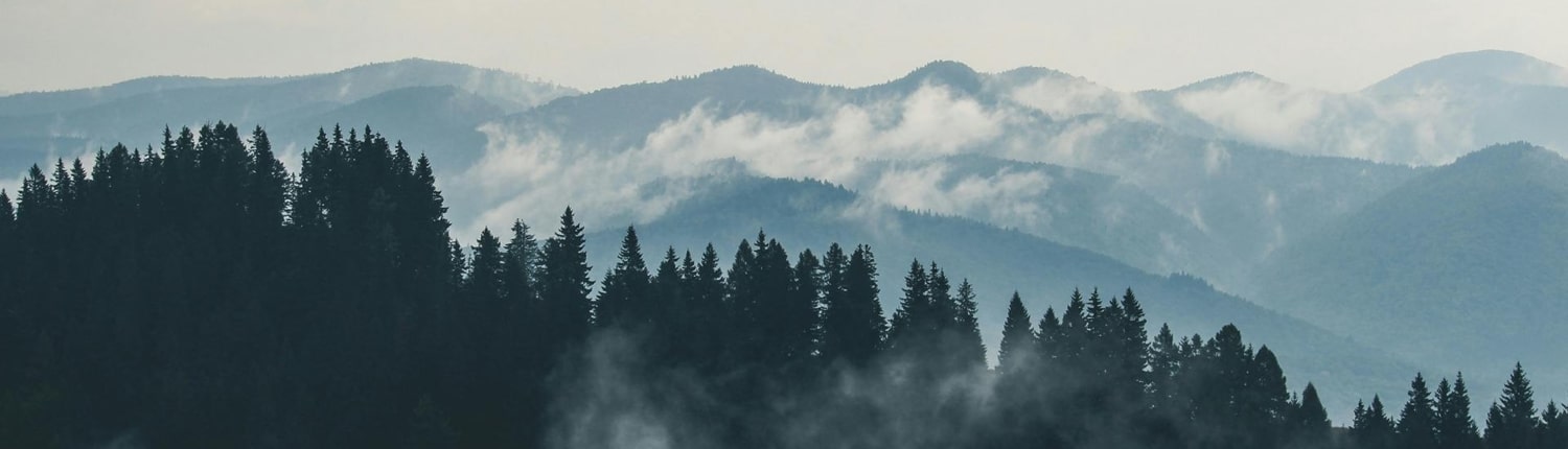 Solör Bioenergi skogen-7